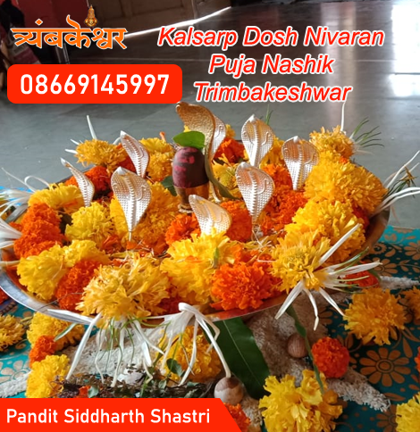 Kalsarp Dosh Nivaran Puja Nashik