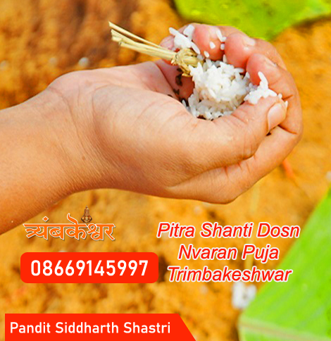 Pitra Dosh Shanti Puja Trimbakeshwar, Nashik