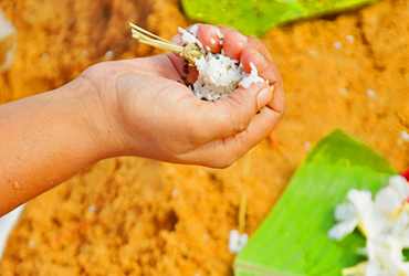 Pitra Dosh Shanti Puja Nashik Trimbakeshwar